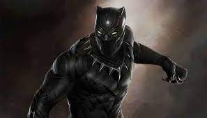 what will happen to black panther 2