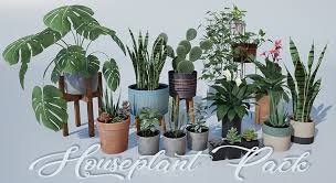 Houseplant Pack Interior And Exterior