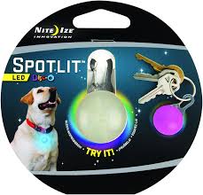 Amazon Com Spotlit Led Carabiner Light Disc O Dog Light Pet Supplies