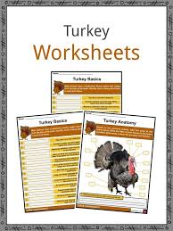 This recalls the mayflower, the ship used by the pilgrims who celebrated the first thanksgiving day in the land that became the u.s. Turkey Facts Worksheets History Name For Kids