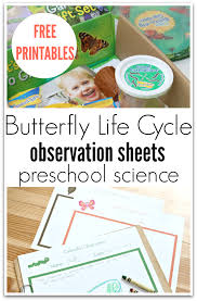 Butterfly Life Cycle Observation Printables Preschool