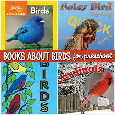 First of all she took some mud and made a sort of round cake with it. 20 Best Bird Books For Preschool Kids To Read About