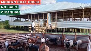 modern goat house on a budget no