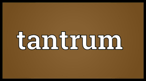 tantrum meaning you