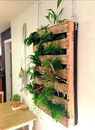 10 Diy Indoor Herb Garden Ideas And