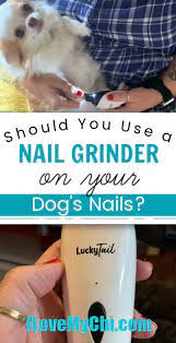 a nail grinder on your dog s nails