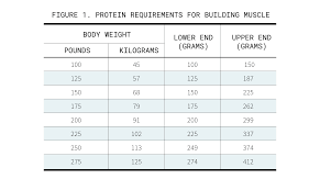 In all seriousness, i'm often asked how much protein is actually needed for building muscle. How Much Protein A Day To Build Muscle Transparent Labs
