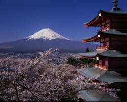 Feeding Japan  The Cultural and Political Issues of Dependency and     Best Essay Help