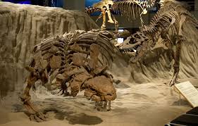 the royal tyrrell museum of