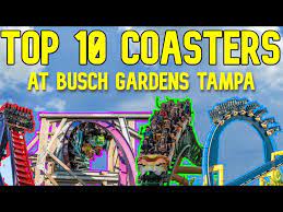 top 10 roller coasters at busch gardens