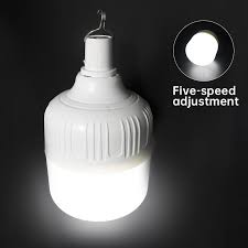 portable led night light bulb