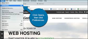 Check spelling or type a new query. How To Activate The Built In Vpn In The Opera Browser Greengeeks