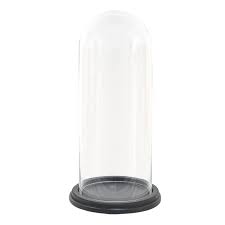 17x35 Cm Wood Glass Round Glass Bell Jar