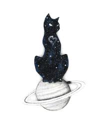 cosmic cat magic carpet ride every