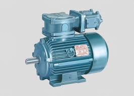 electric motor manufacturers delears