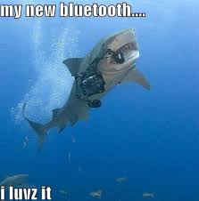 20 funny pics for shark week alltop viral