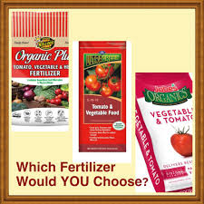 which vegetable fertilizer would you
