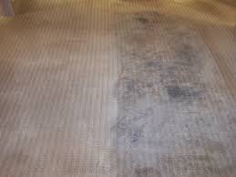 healthy clean carpet tile care