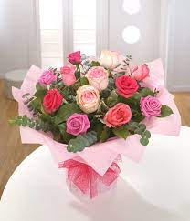 shades of pink roses bloomers of