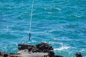 Whether you're fly fishing into the waves underneath the piers, catching fish from a kayak, or luring a line behind you on a boat—all can be classified as saltwater fishing. Inshore Fishing Setup Topsail Angler
