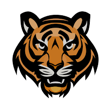 tiger face icon clipart transpa