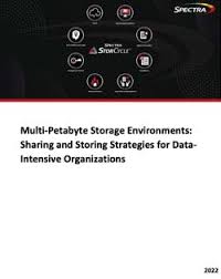 multi petabyte storage environments