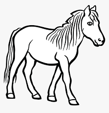 white png of horse clipart black