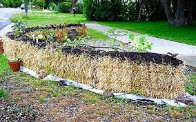 However, it is distinguished from the other ways. Straw Bale Gardening Is It Any Good