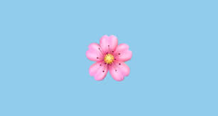 9 flower emojis with their meanings you