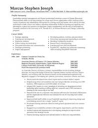 Summary Profile Resume Examples Zaxa Tk Professional Lexusdarkride