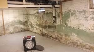 Water In Basement Why Mold And Mildew