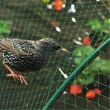 garden netting net protection anti bird