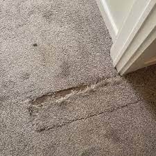 carpet repair in chesapeake va