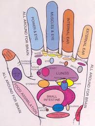 Left Hand Reflexology Massage Hand Reflexology Reflexology