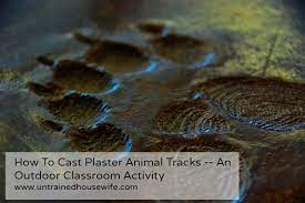 how to cast plaster tracks an