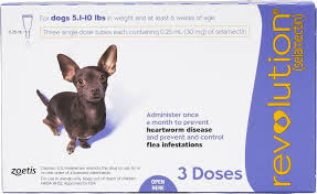 Revolution Topical Solution For Dogs 5 1 10 Lbs 3 Treatments Purple Box