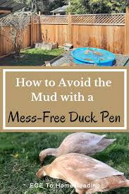 how to build a mess free duck pen
