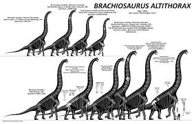 Pin By M Beardsley On Dinosaurs Prehistoric Creatures