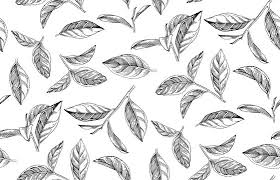 tea leaf vector images browse 679 312