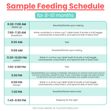 feeding schedule for 8 9 and 10 month
