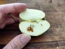 Is it OK to eat apple with brown spots?