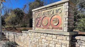 guide to san antonio zoo hours