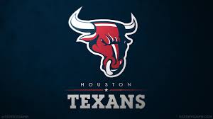 Image result for HOUSTON TEXANS