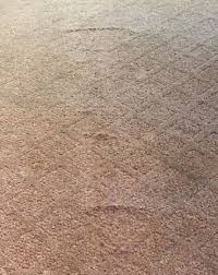 carpet delamination caused by goof off