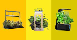 Best Indoor Garden Kits 2022 The