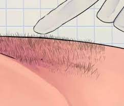I would say about 1/2 inch >> more brazilian wax questions. Brazilian Waxing How To Articles From Wikihow