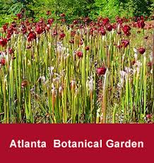 atlanta botanical gardens outdoors