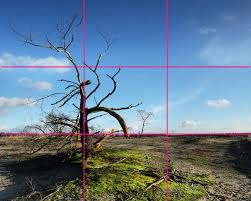 the rule of thirds to your advane