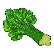 Garden Broccoli Icon Cartoon