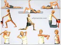 home stretching exercises relieve